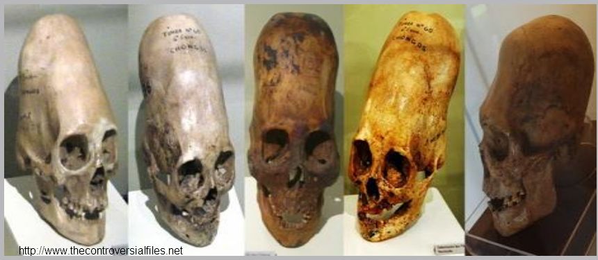 Analýza DNA: lebky z Paracasu nejsou lidské